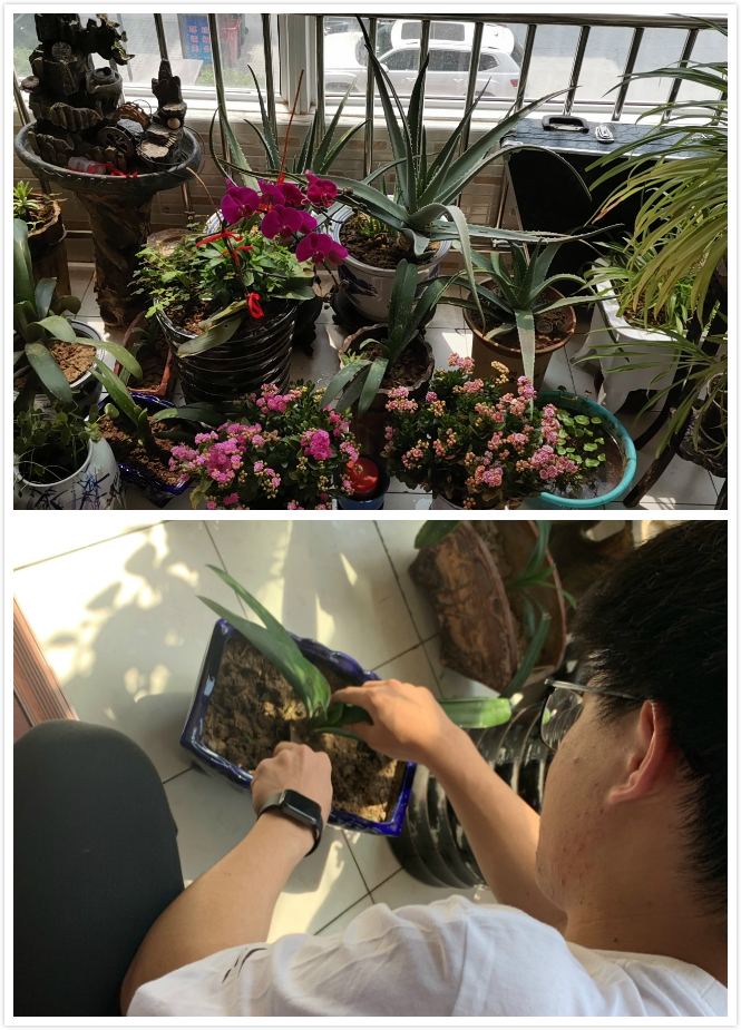 港澳六宝大典