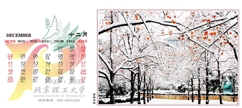 港澳六宝大典