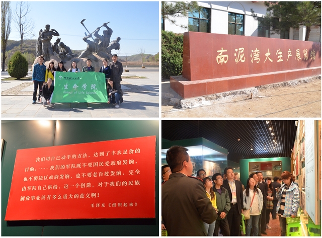 港澳六宝大典