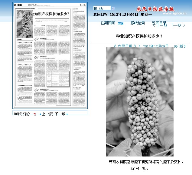 港澳六宝大典