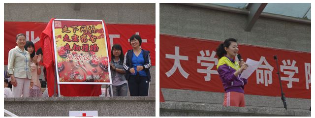 港澳六宝大典