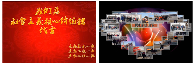 港澳六宝大典