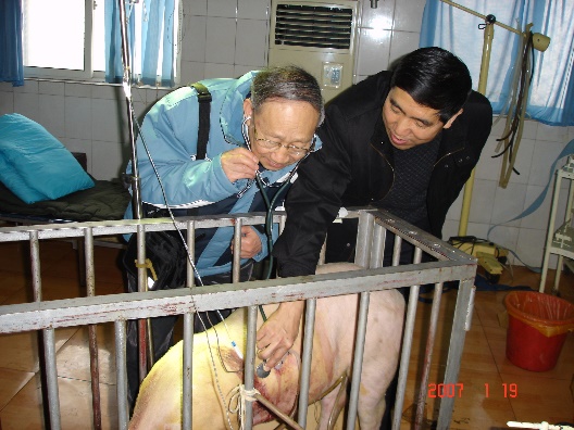 港澳六宝大典
