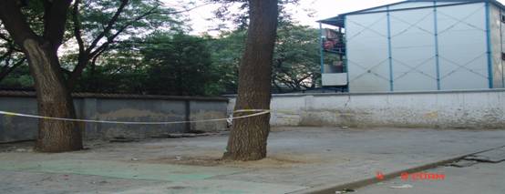 港澳六宝大典