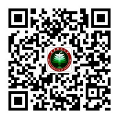 港澳六宝大典