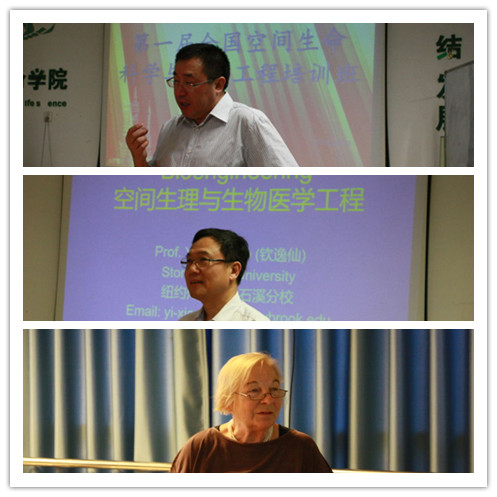 港澳六宝大典
