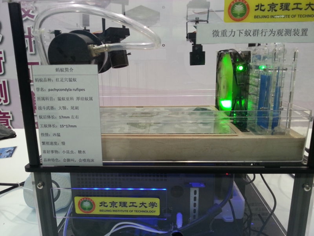 港澳六宝大典