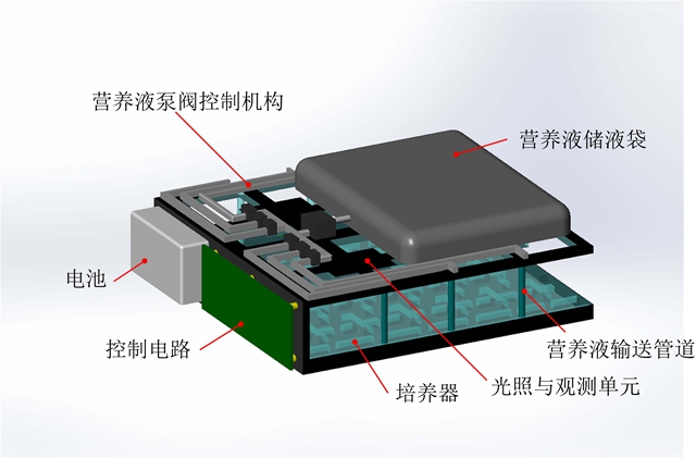 港澳六宝大典