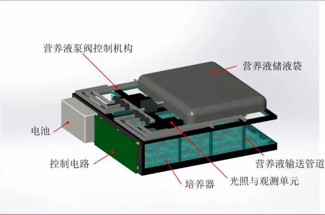 港澳六宝大典