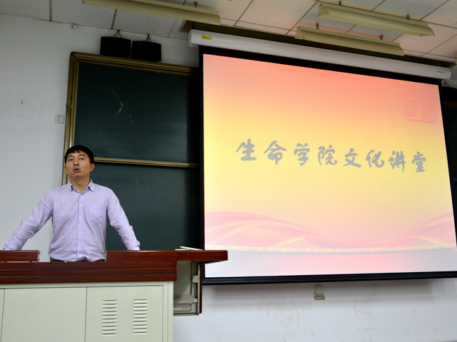 港澳六宝大典