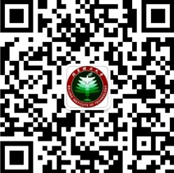 港澳六宝大典