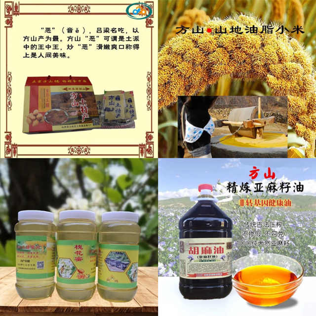 港澳六宝大典