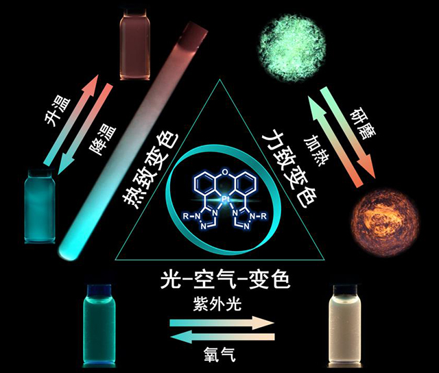 港澳六宝大典
