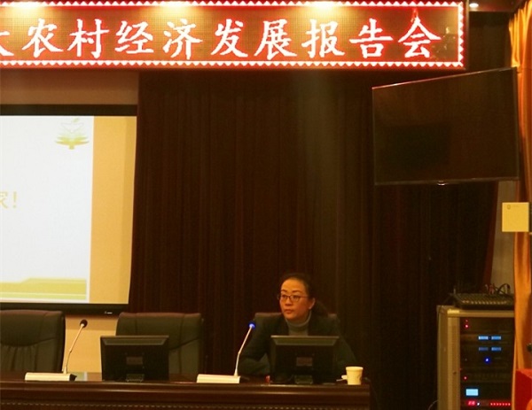港澳六宝大典