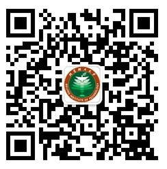 港澳六宝大典