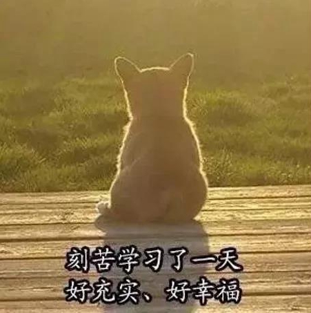 港澳六宝大典